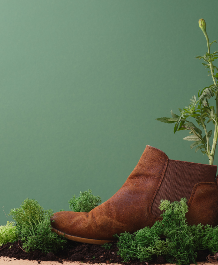 The Untapped Potential of Post-Implementation Reviews