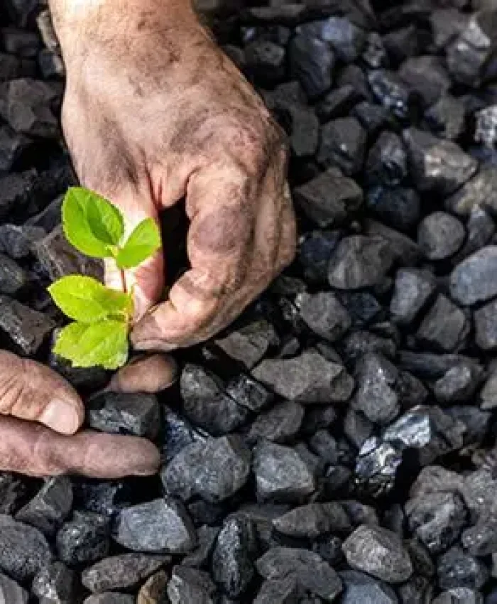 Balancing Growth, Innovation and Sustainability