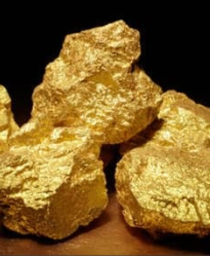 The Real Gold: People Behind the Pit